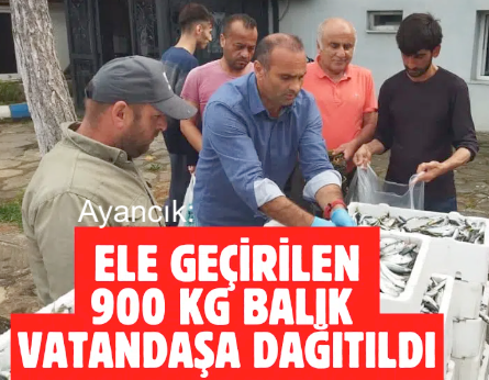 <center> Ayancık’ta Kaçak Avlanan Balık </center><center><font color=’blue’> PARASIZ DAĞITILDI </font></center>