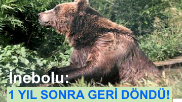 <center> İnebolu: </center><center><font color=’blue’>1 YIL SONRA GERİ DÖNDÜ! </font></center>