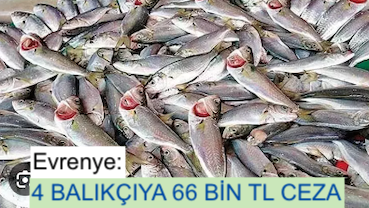 <center> Evrenye: </center><center><font color=’blue’>4 BALIKÇIYA 66 BİN TL CEZA </font></center>