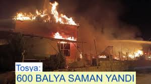 <center> Tosya: </center><center><font color=’blue’>600 BALYA SAMAN YANDI </font></center>