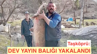<center> Taşköprü: </center><center><font color=’blue’> DEV YAYIN BALIĞI YAKALANDI </font></center>