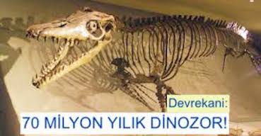 <center> Devrekani: </center><center><font color=’blue’>70 MİLYON YILLIK DİNOZOR FOSİLİ  </font></center>