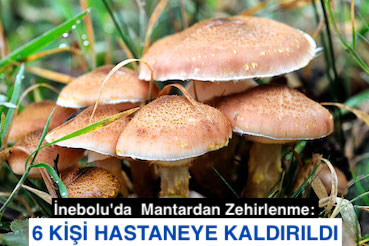 <center>‘İnebolu’da  Mantardan Zehirlenme: </center><center><font color=’blue’>6 KİŞİ HASTANEYE KALDIRILDI </font></center>