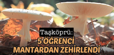 <center> Taşköprü: </center><center><font color=’blue’>5 ÖĞRENCİ MANTARDAN ZEHİRLENDİ </font></center>