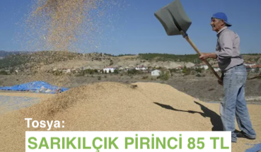 <center> Tosya: </center><center><font color=’blue’> SARIKILÇIK PİRİNCİ 85 TL! </font></center>