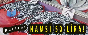 Bartın: HAMSİ 50 LİRA!