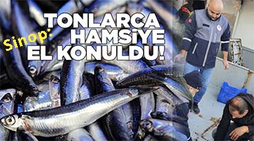 <center> Sinop: </center><center><font color=’blue’>4 TON HAMSİYE EL KONULDU! </font></center>