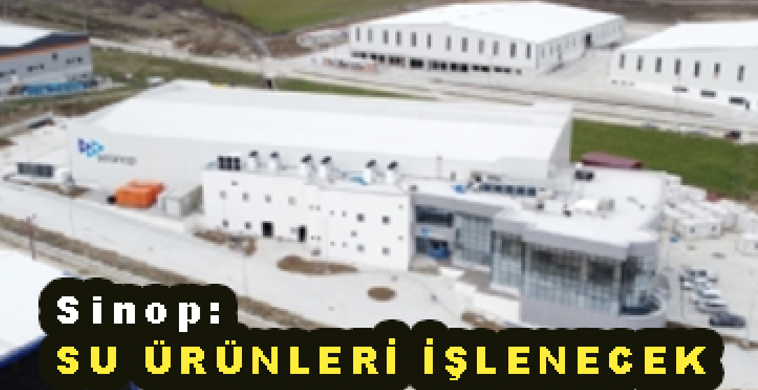 <center> Sinop: </center><center><font color=’blue’> SU ÜRÜNLERİ İŞLENECEK </font></center>