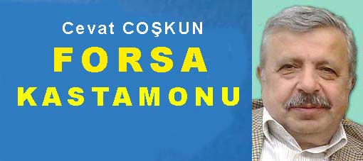 FORSA KASTAMONU