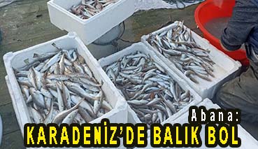 <center> Abana: </center><center><font color=’blue’> KARADENİZ’DE BALIK BOL </font></center>