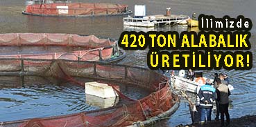 <center> İlimizde </center><center><font color=’blue’>420 TON ALABALIK ÜRETİLİYOR! </font></center>