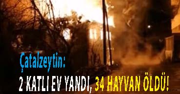 <center> Çatalzeytin: </center><center><font color=’blue’>2 KATLI EV YANDI, 34 HAYVAN ÖLDÜ! </font></center>
