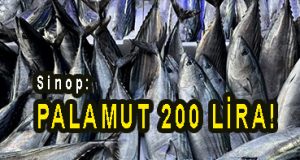 <center> Sinop: </center><center><font color=’blue’> PALAMUT 200 LİRA! </font></center>