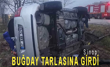 <center> Sinop: </center><center><font color=’blue’> BUĞDAY TARLASINA GİRDİ </font></center>