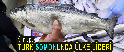 <center> Sinop: </center><center><font color=’blue’> TÜRK SOMONUNDA ÜLKE LİDERİ </font></center>