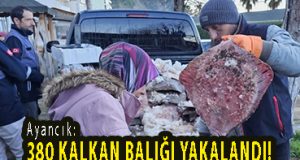 <center> Ayancık: </center><center><font color=’blue’>380 KALKAN BALIĞI YAKALANDI! </font></center>