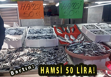 <center> Bartın: </center><center><font color=’blue’> HAMSİ 50 LİRA! </font></center>