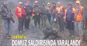 <center> İnebolu: </center><center><font color=’blue’> DOMUZ SALDIRISINDA YARALANDI </font></center>
