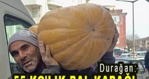 <center> Durağan: </center><center><font color=’blue’>55 KG’LIK BALKABAĞI  </font></center>