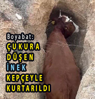 <center> Boyabat: </center><center><font color=’blue’> ÇUKURA DÜŞEN İNEK KEPÇEYLE  KURTARILDI </font></center>