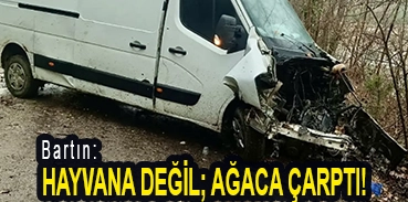 <center> Bartın: </center><center><font color=’blue’> HAYVANA DEĞİL; AĞACA ÇARPTI! </font></center>