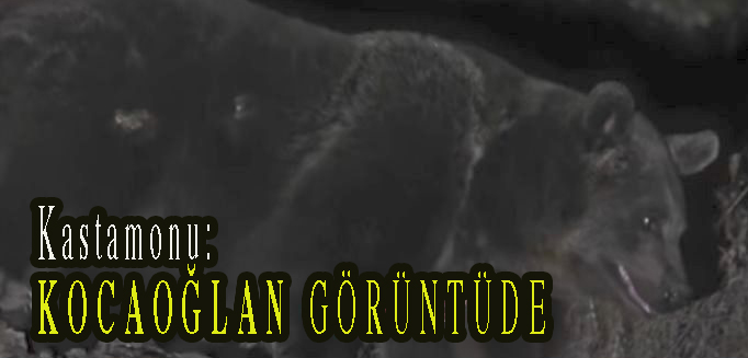 <center> Kastamonu: </center><center><font color=’blue’> KOCAOĞLAN GÖRÜNTÜDE </font></center>