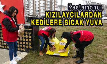 <center> Kastamonu: </center><center><font color=’blue’> KIZILAYCILARDAN KEDİLERE SICAK YUVA </font></center>