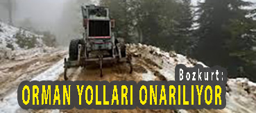<center> Bozkurt: </center><center><font color=’blue’> ORMAN YOLLARI ONARILIYOR </font></center>