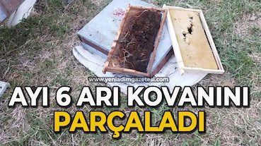 <center> Cide: </center><center><font color=’blue’> AYI 6 KOVANI PARÇALADI </font></center>