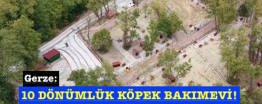 <center> Gerze: </center><center><font color=’blue’>10 DÖNÜMLÜK KÖPEK BAKIMEVİ! </font></center>