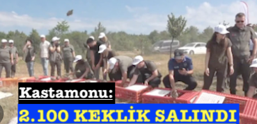 <center> Kastamonu: </center><center><font color=’blue’>2.100 KEKLİK SALINDI </font></center>
