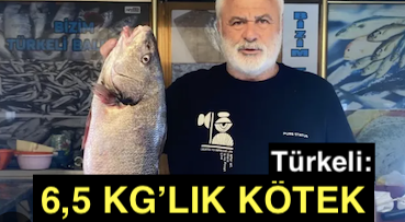 <center> Türkeli: </center><center><font color=’blue’>6,5 KG’LIK KÖTEK  </font></center>