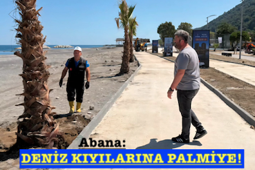 <center> Abana: </center><center><font color=’blue’> DENİZ KIYILARINA PALMİYE! </font></center>