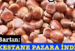 <center> Bartın: </center><center><font color=’blue’> KESTANE PAZARA İNDİ </font></center>