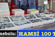 <center> İnebolu: </center><center><font color=’blue’> HAMSİ 100 TL </font></center>