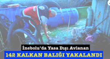 <center> İnebolu’da Yasa Dışı Avlanan </center><center><font color=’blue’>142 KALKAN BALIĞI YAKALANDI </font></center>