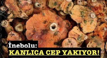 <center> İnebolu: </center><center><font color=’blue’> KANLICA CEP YAKIYOR! </font></center>