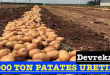<center> Devrekani: </center><center><font color=’blue’>5.000 TON PATATES ÜRETİLDİ </font></center>