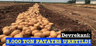 <center> Devrekani: </center><center><font color=’blue’>5.000 TON PATATES ÜRETİLDİ </font></center>