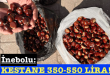 <center> İnebolu:</center><center><font color=’blue’> KESTANE 350-550 LİRA! </font></center>