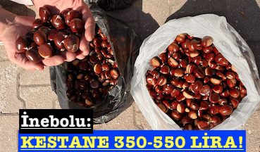 <center> İnebolu:</center><center><font color=’blue’> KESTANE 350-550 LİRA! </font></center>