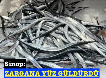 <center> Sinop: </center><center><font color=’blue’> ZARGANA YÜZ GÜLDÜRDÜ </font></center>