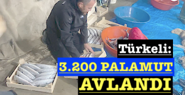 <center> Türkeli: </center><center><font color=’blue’>3.200 PALAMUT AVLANDI </font></center>