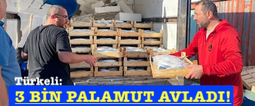 <center> Türkeli: </center><center><font color=’blue’> 3 BİN PALAMUT AVLADI! </font></center>