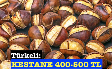 <center> Türkeli: </center><center><font color=’blue’> KESTANE 400-500 TL </font></center>
