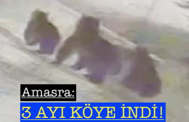 <center> Amasra: </center><center><font color=’blue’>3 AYI KÖYE İNDİ! </font></center>