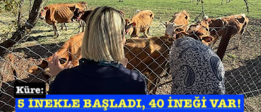 <center> </center>Küre: <center><font color=’blue’></font></center>  5 İNEKLE BAŞLADI, 40 İNEĞİ VAR!