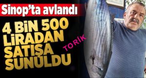 <center> Sinop: </center><center><font color=’blue’> BU TORİK 4.500 TL! </font></center>