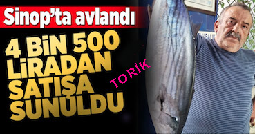 <center> Sinop: </center><center><font color=’blue’> BU TORİK 4.500 TL! </font></center>