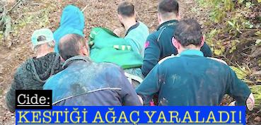 <center> Cide: </center><center><font color=’blue’>KESTİĞİ AĞAÇ YARALADI! </font></center>
